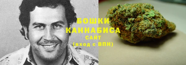 ПСИЛОЦИБИНОВЫЕ ГРИБЫ Алексин