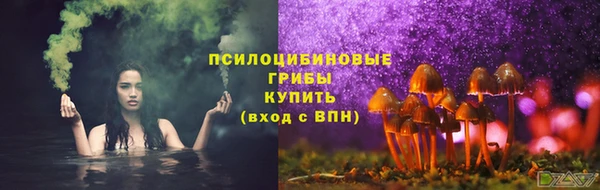 не бодяженный Аркадак