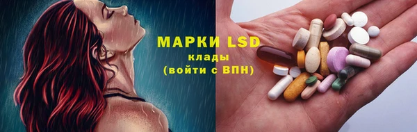 а пвп мука Алзамай