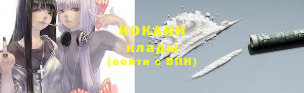прущие грибы Валуйки