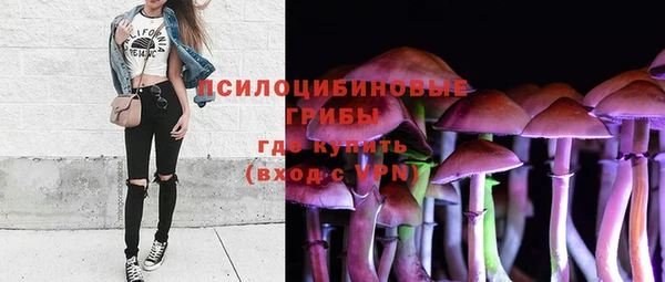 крисы Арсеньев