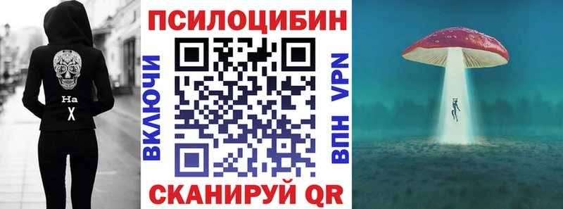 как найти закладки  Ельня  Псилоцибиновые грибы Psilocybe 