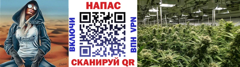 закладка  Ельня  гидра tor  Канабис MAZAR 